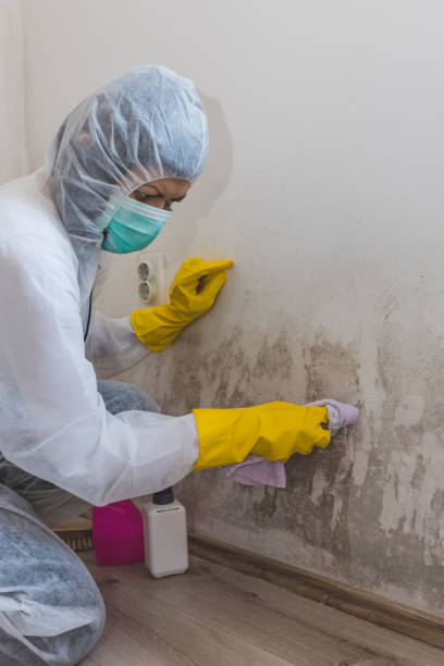 Best Industrial Mold Remediation  in Buena Vista, MI