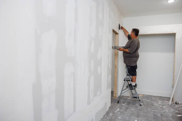 Mold Removal for HVAC Installations in Buena Vista, MI
