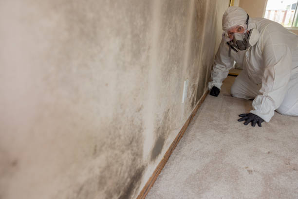 Best Industrial Mold Remediation  in Buena Vista, MI