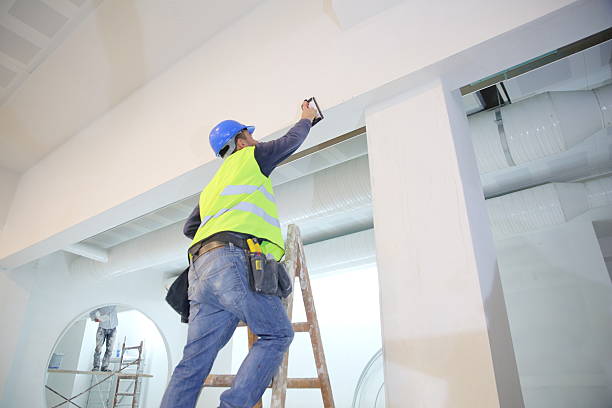 Best Comprehensive Air Testing for Mold Contaminants  in Buena Vista, MI
