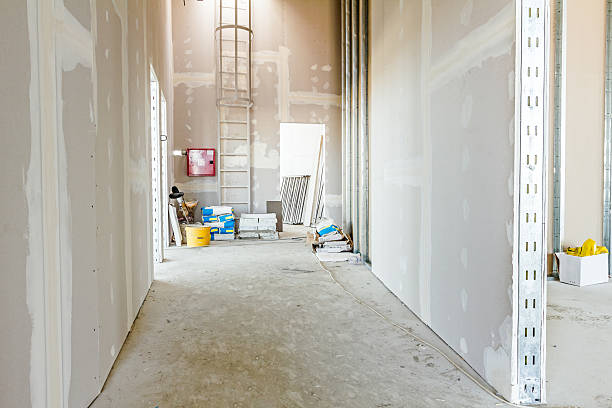 Trusted Buena Vista, MI Mold Removal Experts